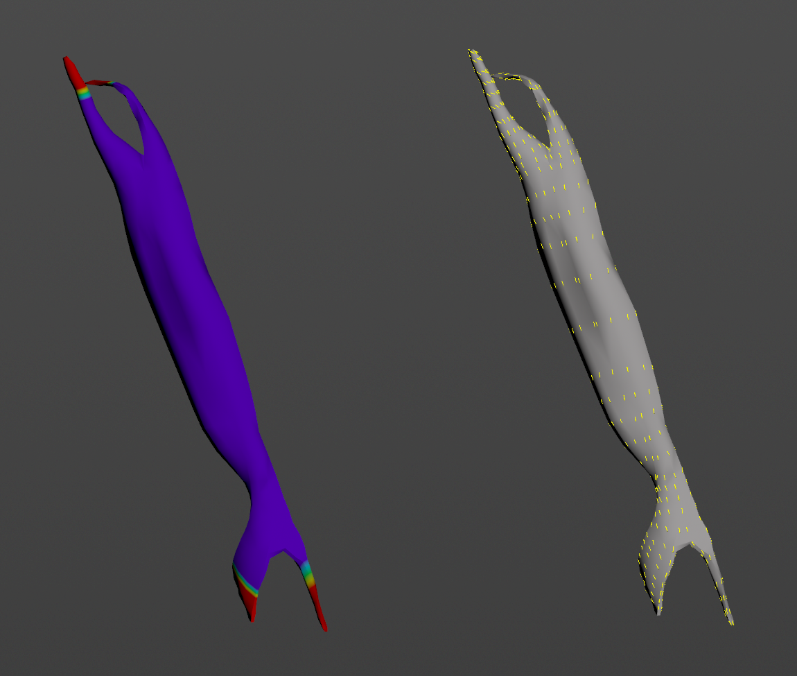 Fiber groom fiber directions estimated from tendon mask