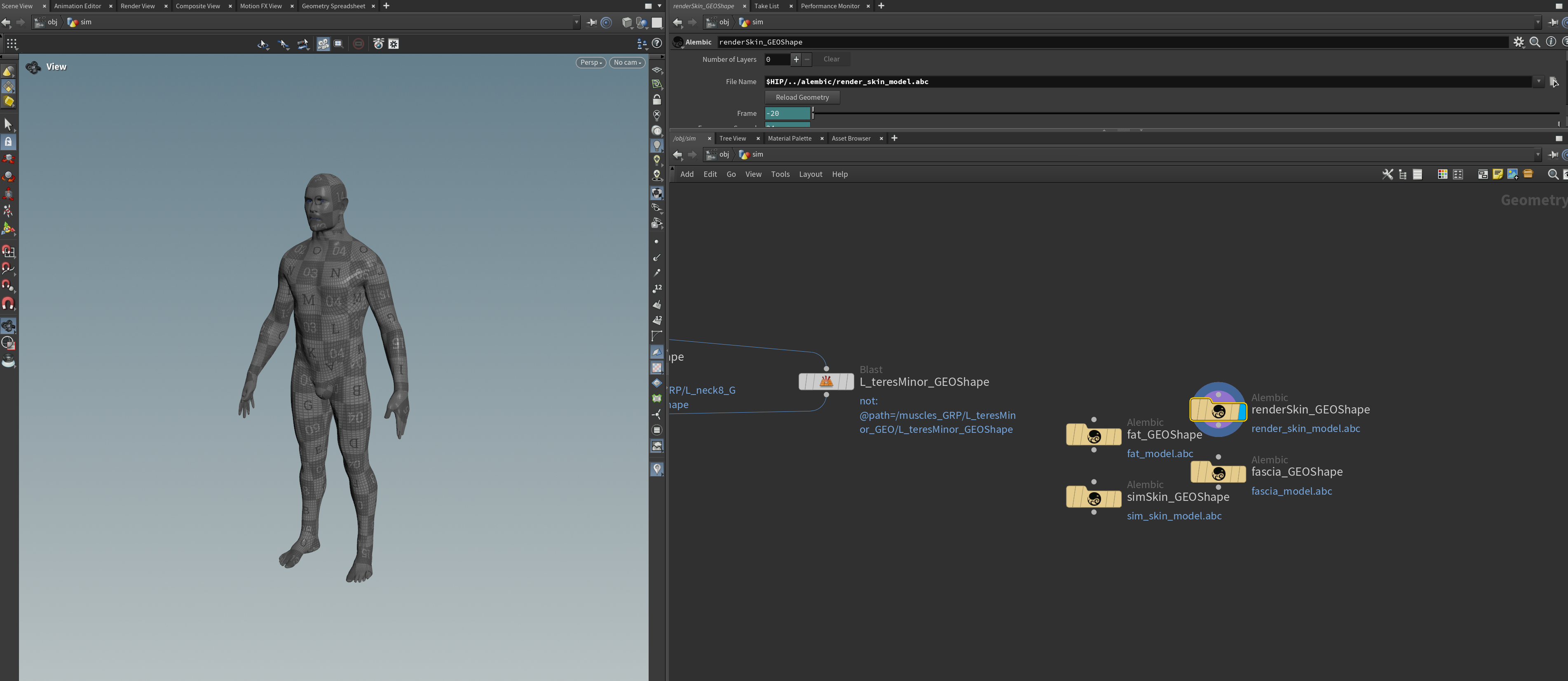 Biped scene before importing