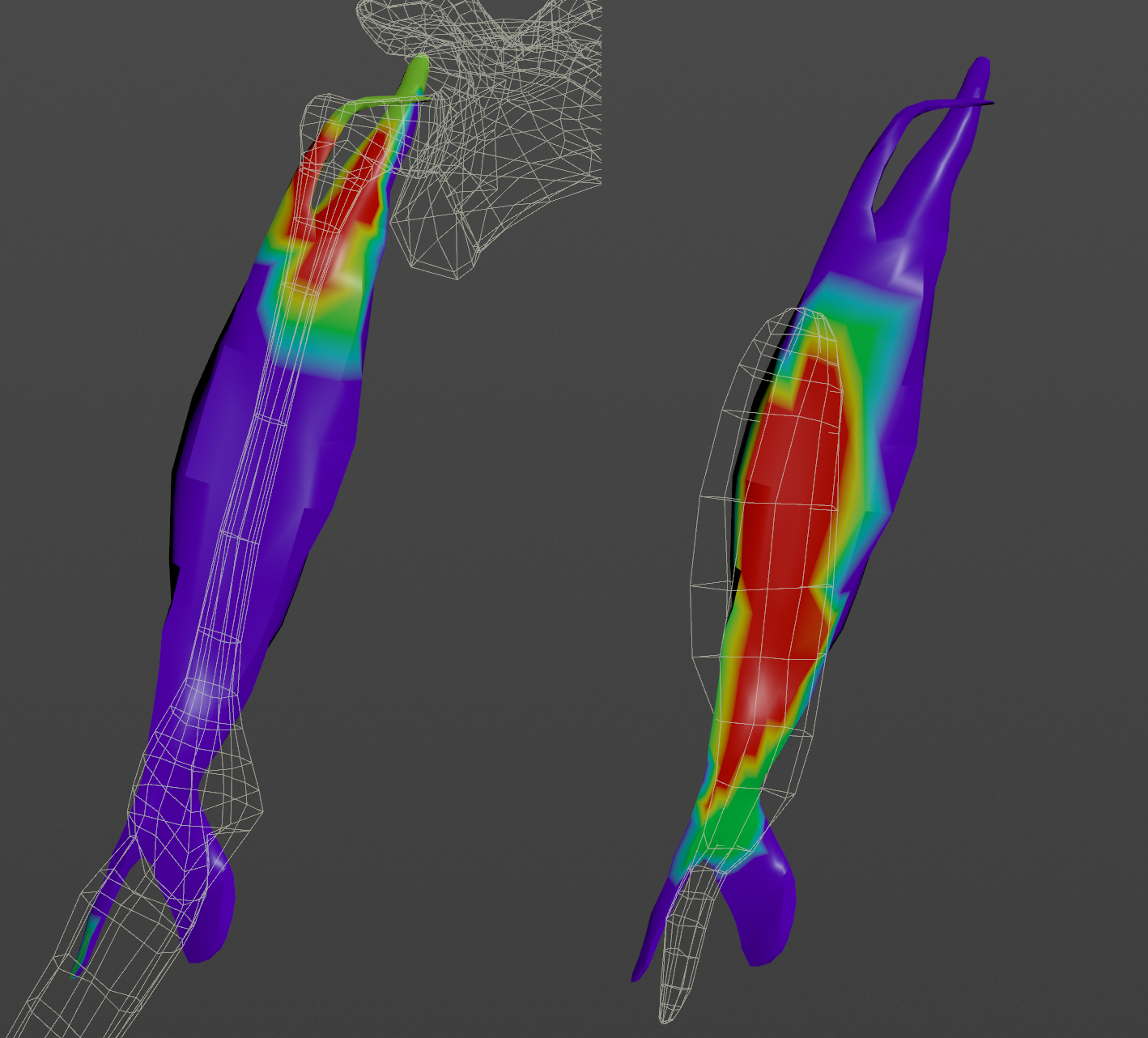 AdnMuscle example of slide on geometry with 2 targets