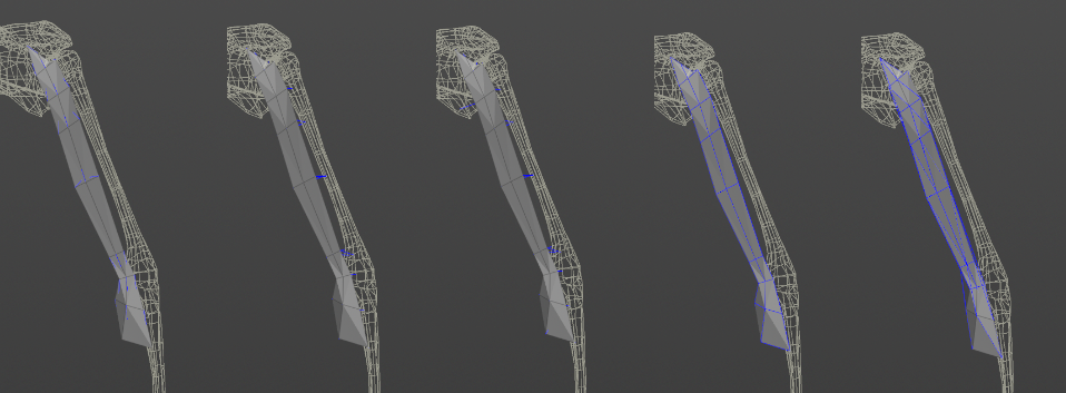 AdnRibbonMuscle debug