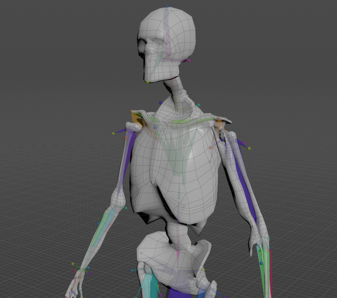 Basic setup for biceps sim