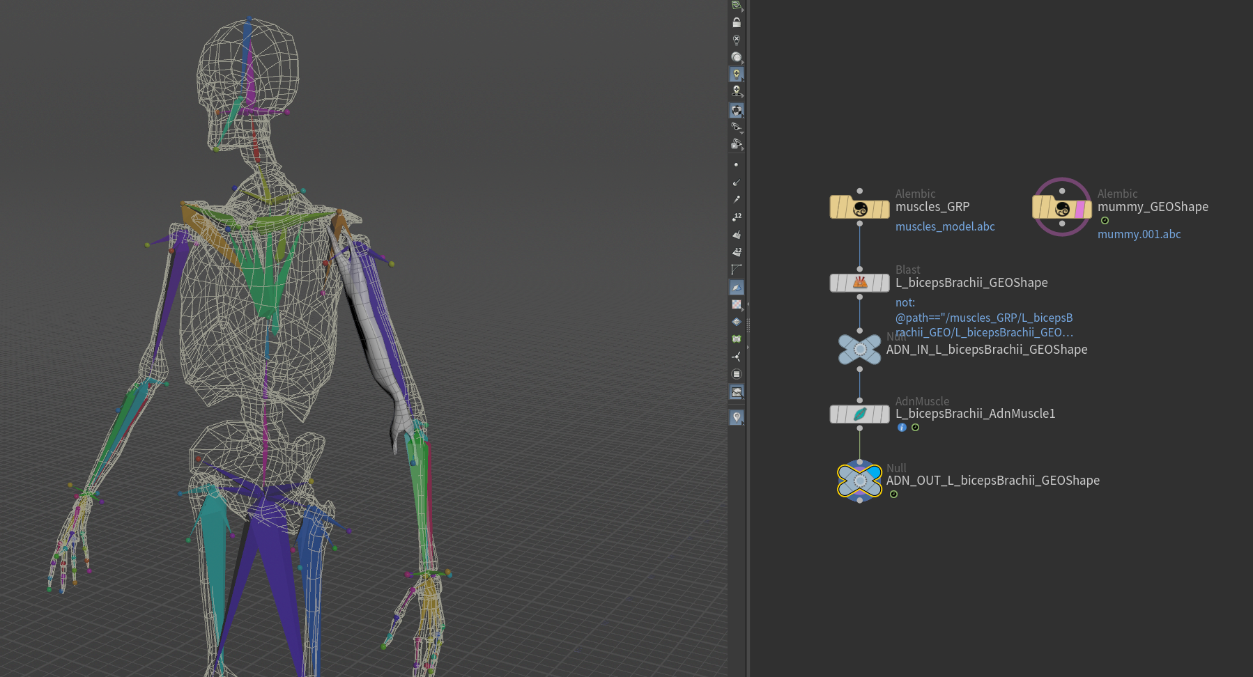 AdnMuscle SOP creation scenario