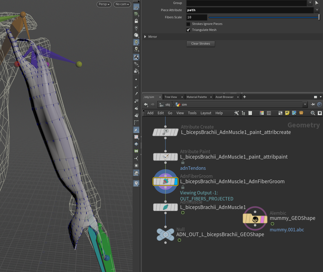 Muscle fibers combing