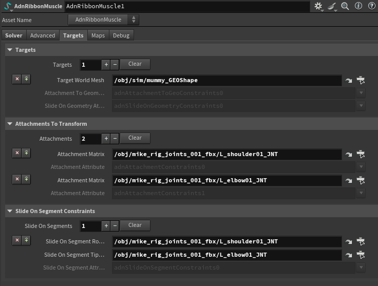 AdnRibbonMuscle SOP example constraints