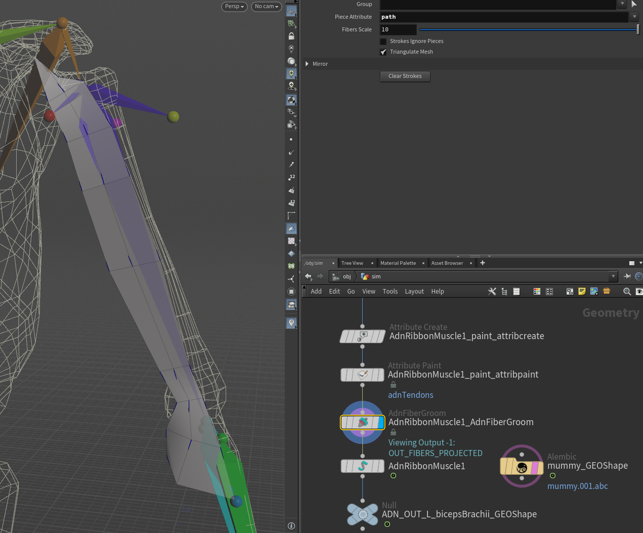 Muscle fibers combing