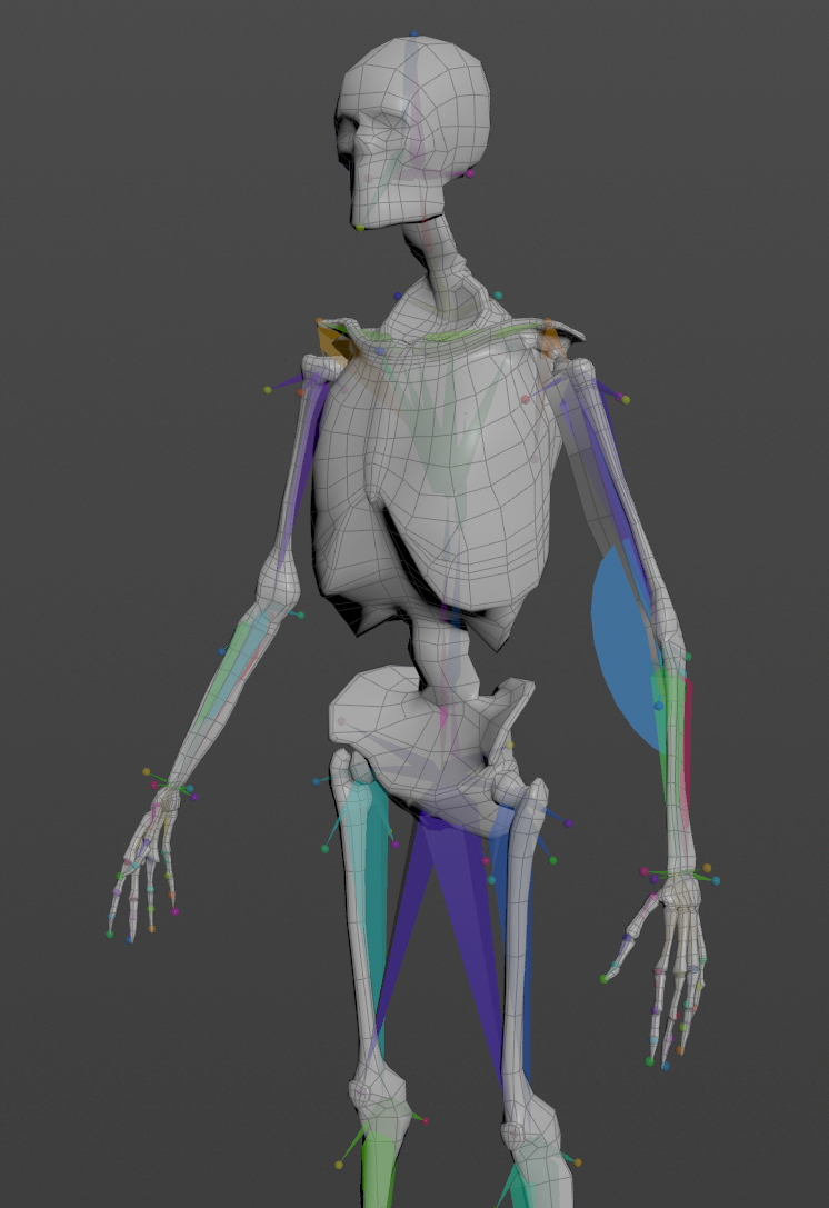Rotation locator and sensor setup in elbow