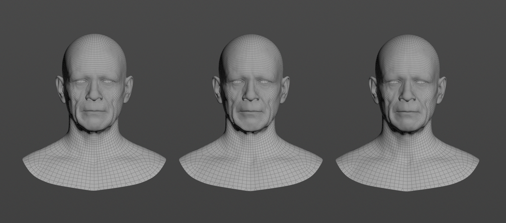 Basic setup for facial simulations