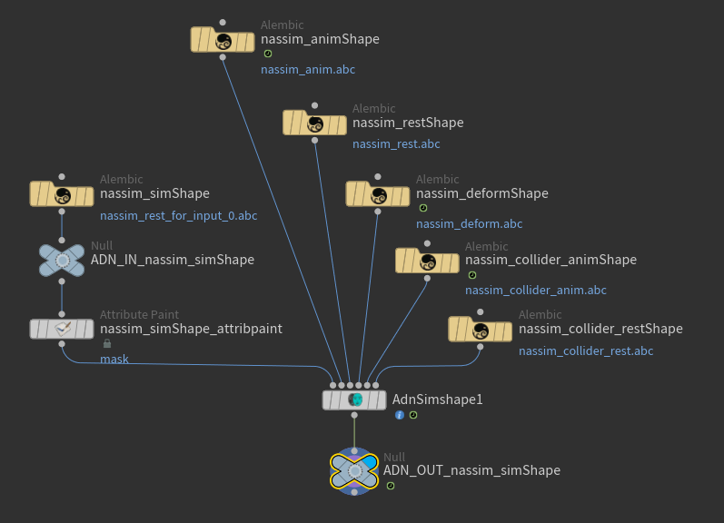 AdnSimshape example of network