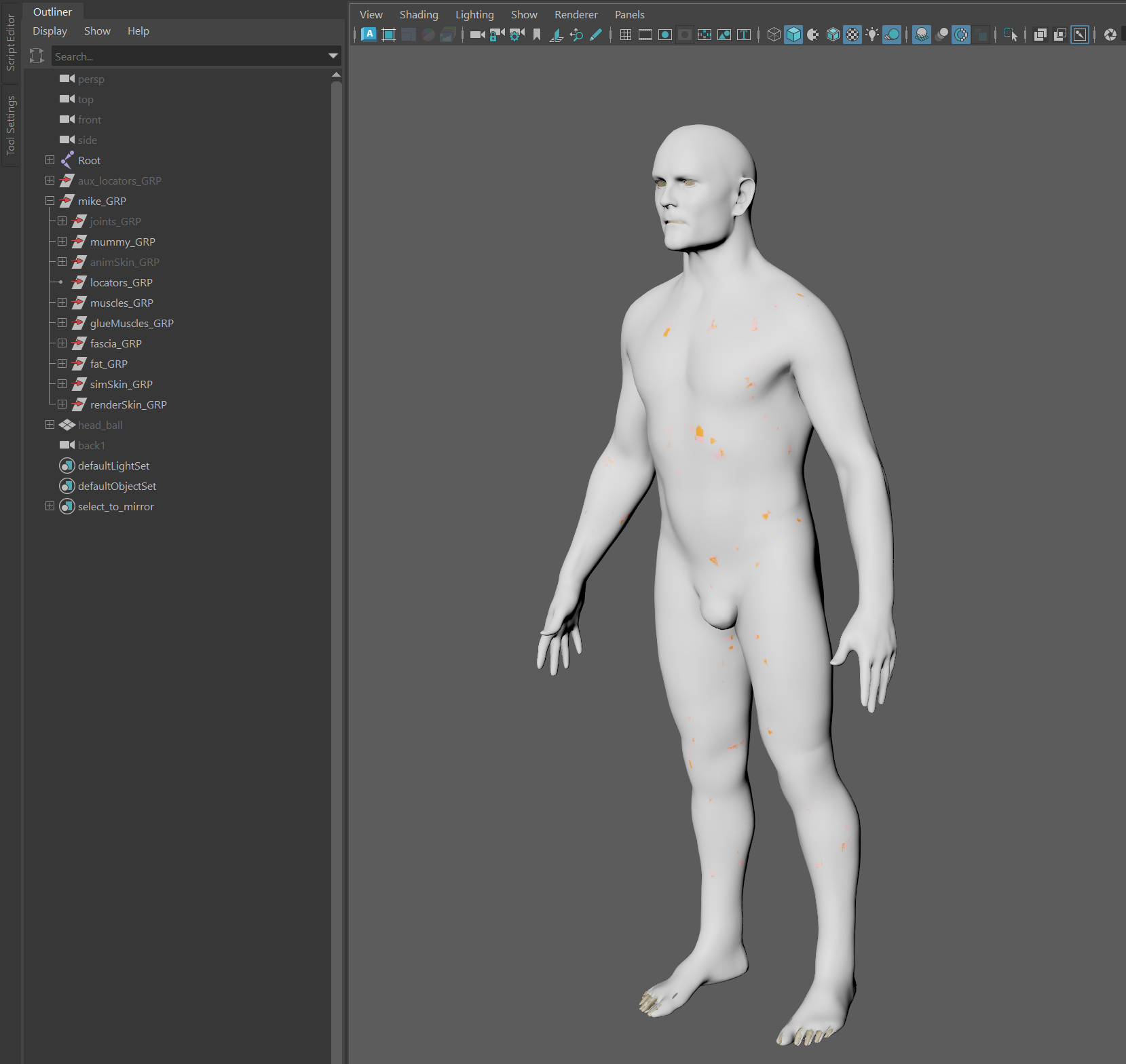 Biped scene before importing