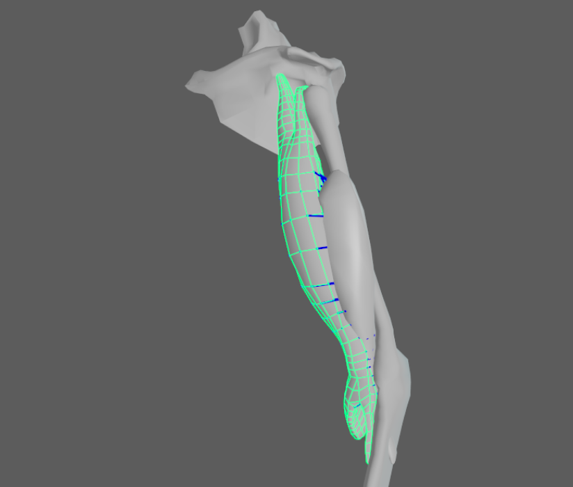 muscle to muscle debugger