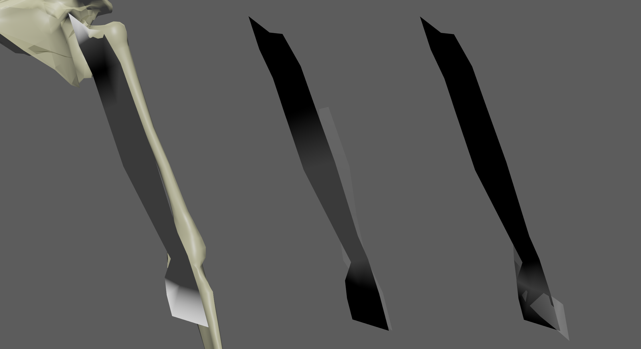 AdnRibbonMuscle example of attachment to geometry with 3 targets