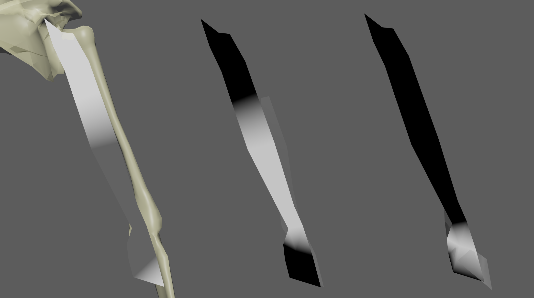 AdnRibbonMuscle example of slide on geometry with 3 targets