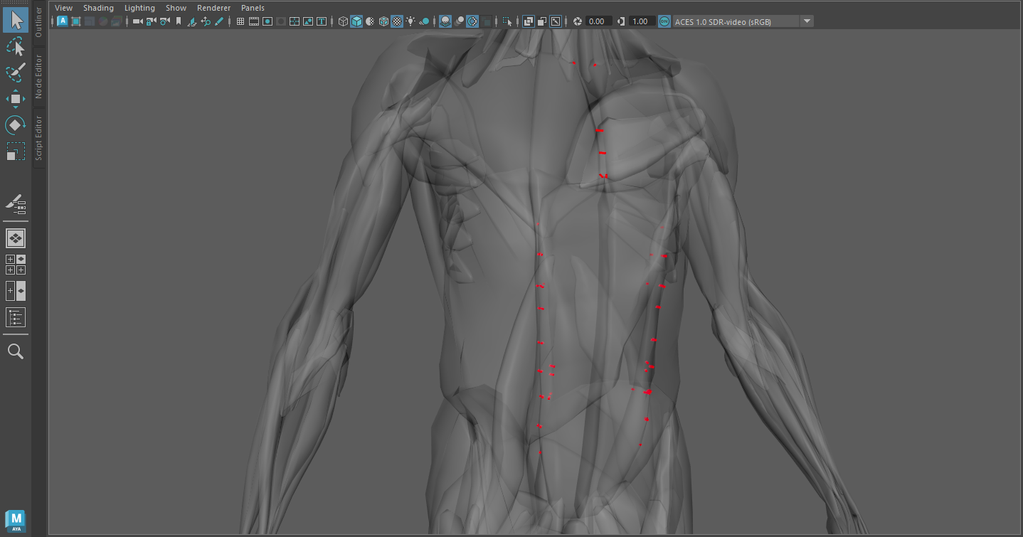 Displaying the Glue Constraints debugger