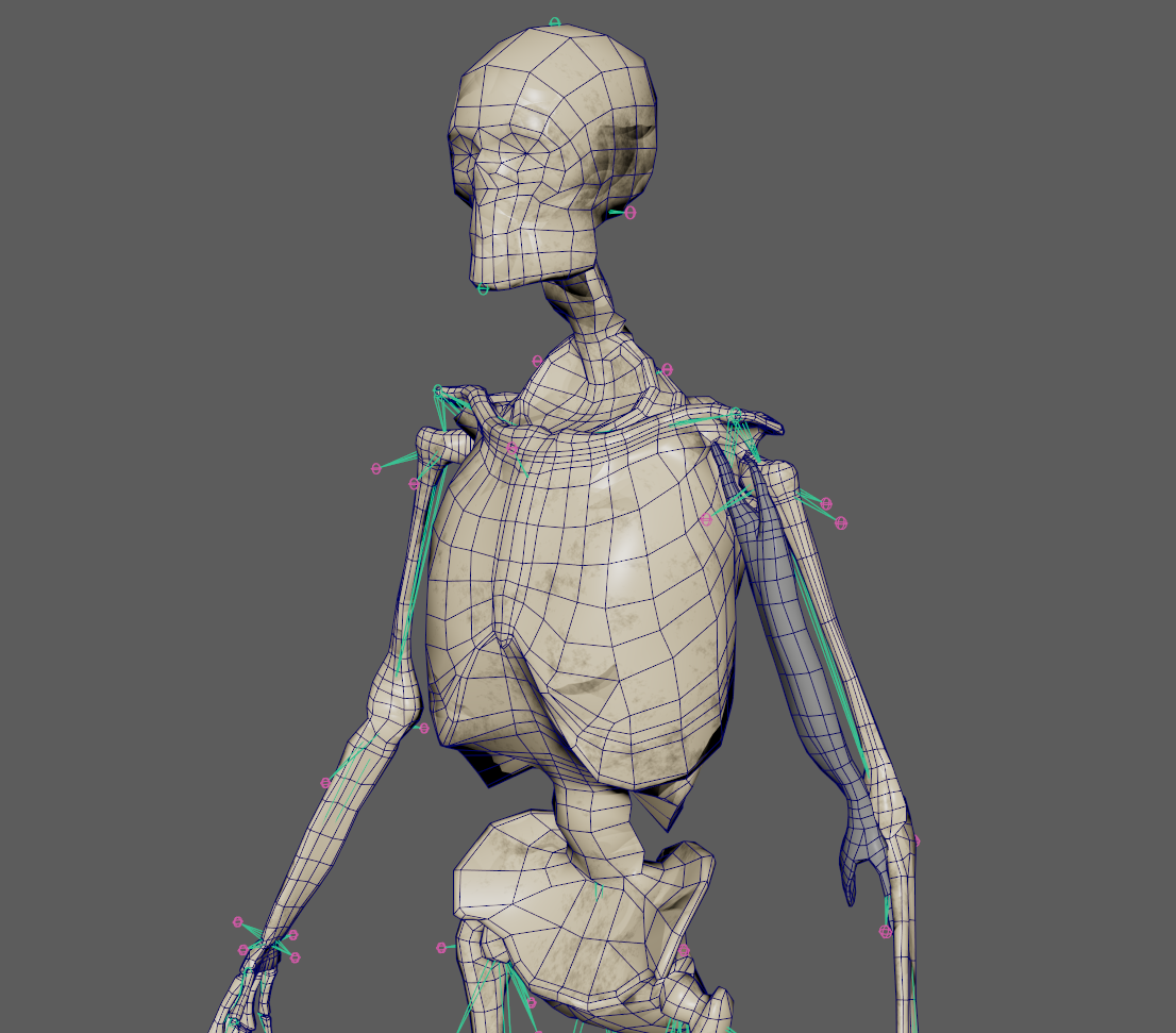 basic setup for biceps sim