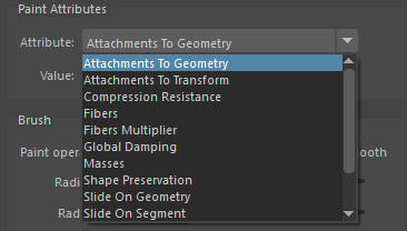 Paint Tool Muscle Attributes example (Part 1)
