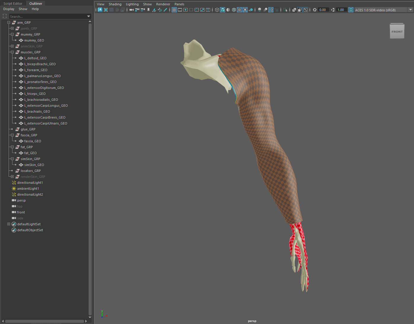 Maya Scene Ready To Execute The AdnTurbo Script