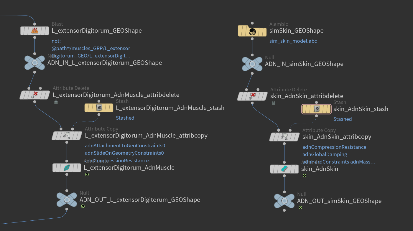 Adonis Export Tool requirements part 1