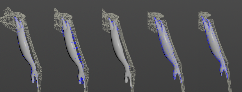 AdnMuscle debug