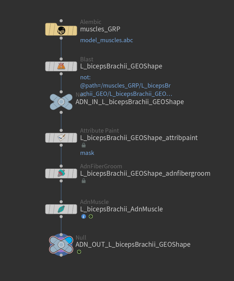 Houdini muscle network example