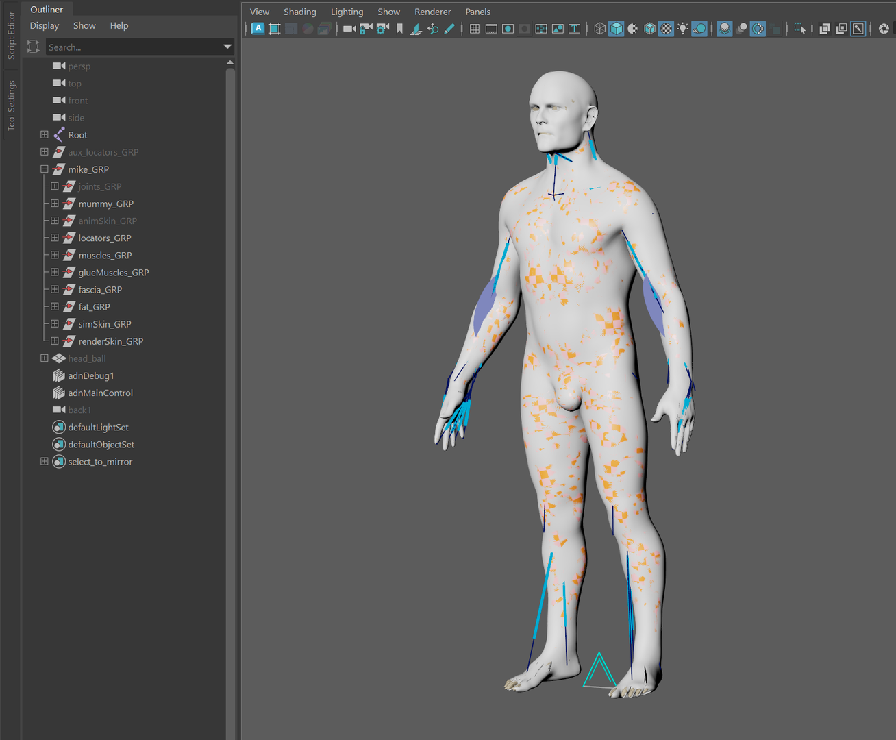 Adonis Export Tool