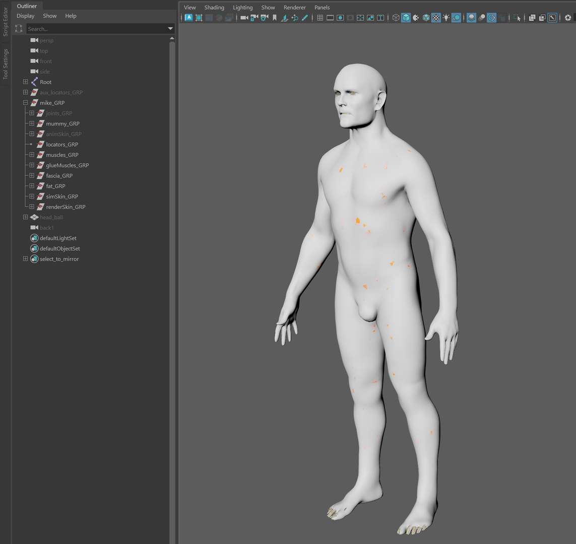 Biped scene before importing