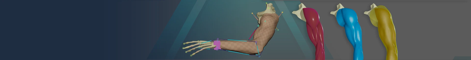 armAsset_blog_hero_06